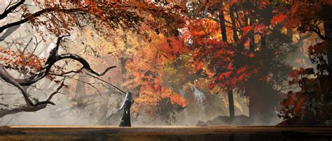 Safebooru 1girl Absurdres Asteroid Ill Autumn Leaves Day Forest Highres Long Hair Nature