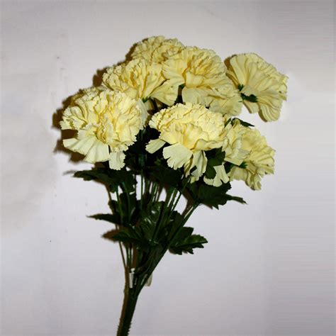 Pale Yellow Carnations Ten And A Half Thousand Things