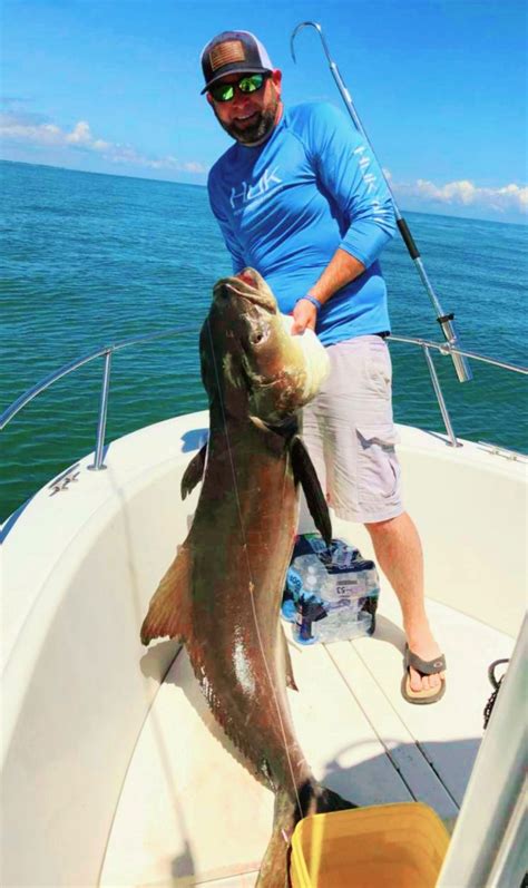 Chesapeake Bay Monster Cobia Coastal Angler And The Angler Magazine
