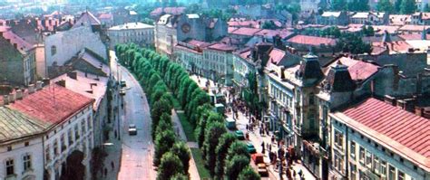 Метаморфози львівських вулиць Алея проспекту Шевченка Фотографії