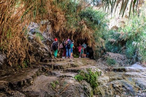 Tourists Guide To Ein Gedi Nature Reserve In Israel Oasis In The