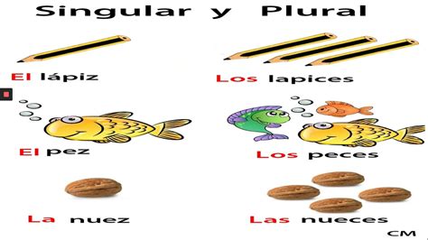 Plural De Los Sustantivos En Español Youtube
