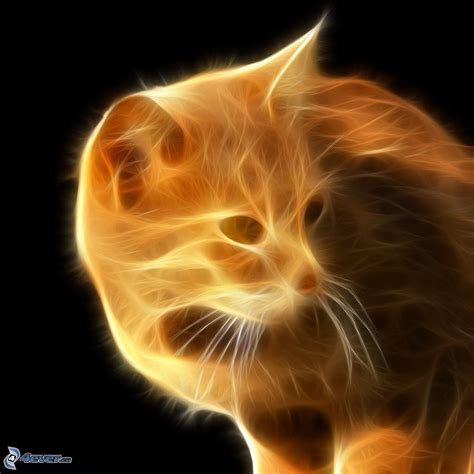 Pin By Christine Raftery On ♥ Fractal Frenzy ♥ Cat Wallpaper Cats