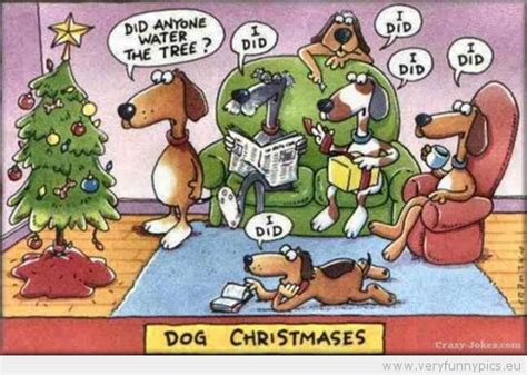 Funny Christmas Dogs 35 Desktop Background