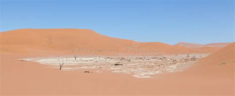 View Over The Deadvlei With The Famous Red Dunes Of Namib Desert Stock