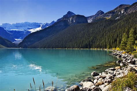 Canada Scenery Lake Mountains Forests Stones Lake Louise