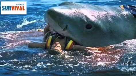 Do Sharks Attack Humans