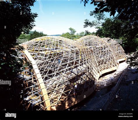 Gridshell Conservation Workshop Weald And Downland Open Air Museum