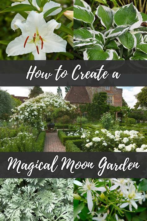 How To Create A Magical Moon Garden In 2021 Garden Plants Design