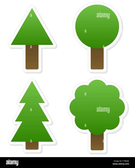 Different Tree Shapes Isolated Vector Illustration Tree Forest