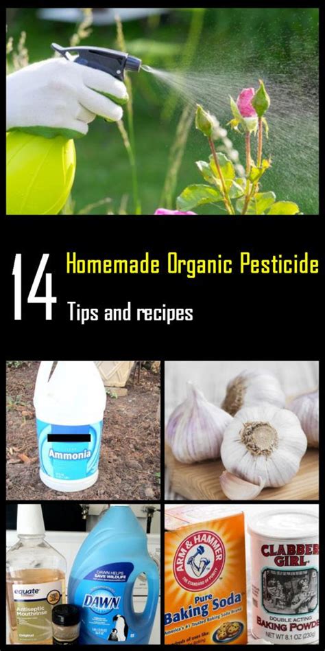 14 Homemade Organic Pesticide Tips And Recipes For Your Garden