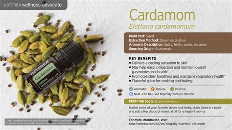Doterra Cardamom Essential Oil Uses With Diffuser And Food Recipes