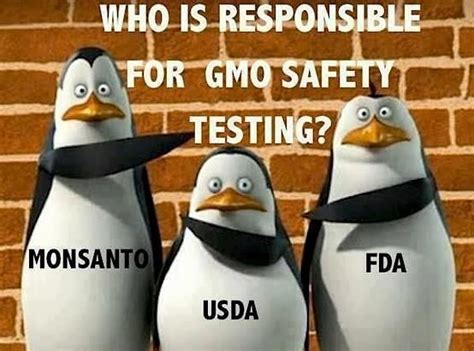 Who Is Responsible Penguins Of Madagascar Gmo Labeling Monsanto