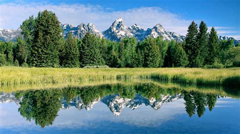 1920x1080 1920x1080 Water Forest Mountains Grass Reflections Sky