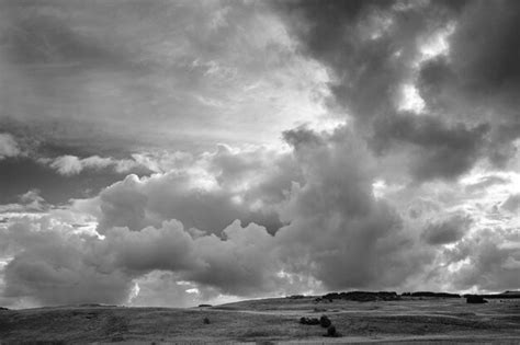 Free Photo Grayscale Shot Of A Landscape With Bushes Under Dark Storm