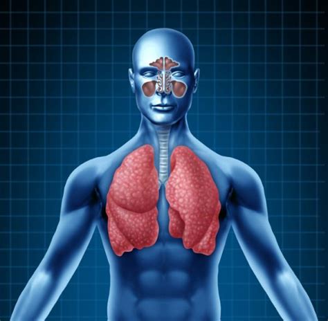 Mocos en los pulmones síntomas causas y tratamiento
