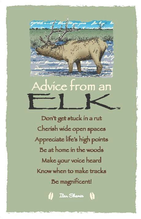 Advice From An Elk Spirit Animal Totem Animal Spirit Guides Animal