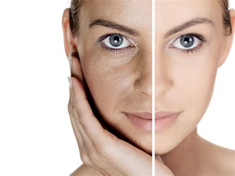 The Anatomy Behind Aging Skin Live Ultra Healthy