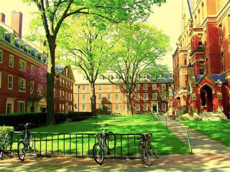 Your Ivy League College Admissions Interview By Ivy League Essay