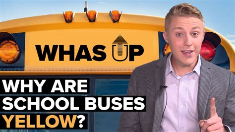 Why Are School Buses Yellow Youtube