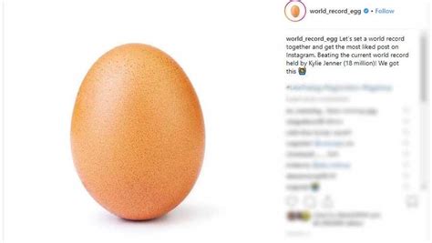 Instagram Egg Breaks Into New Business