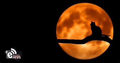 Spooktacular Full Moon On Halloween Will Be A Treat