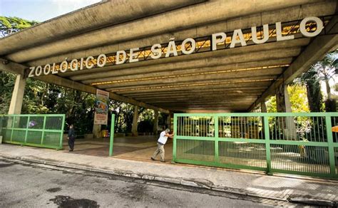 Zoológico De São Paulo Valor Dos Ingressos E 7 Top Atrações