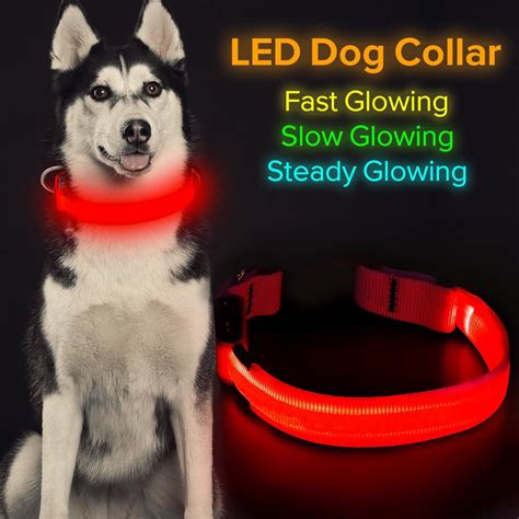 Led Dog Collar Usb Rechargeable Light Up Collar Adjustable Mesh