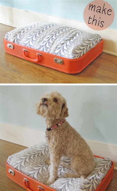 26 Best Diy Pet Bed Ideas And Designs For 2023