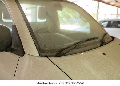 1,817 Car Have Cover Images, Stock Photos & Vectors | Shutterstock