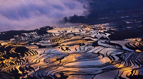 The Sunrise Reflecting In The Rice Field Terraces Of Yuanyang China X