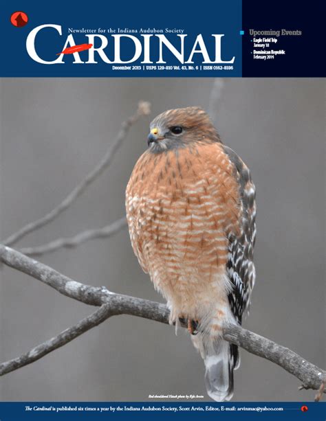 2013 December Cardinal Indiana Audubon Society
