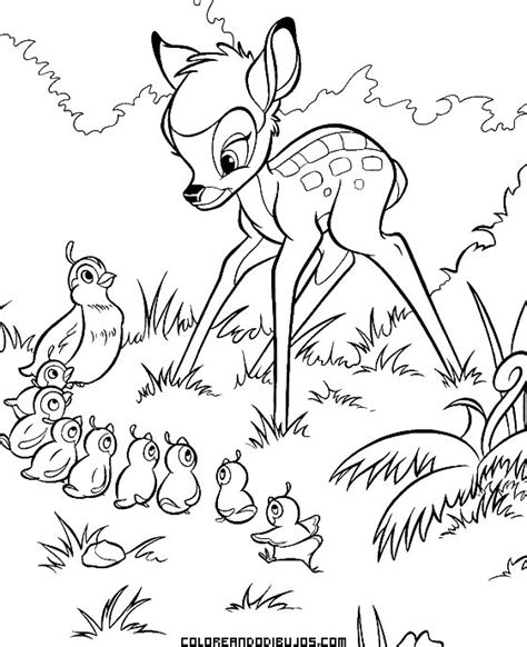 Dibujos De Pajaritos Enamorados Dibujos Para Pintar Bambi Y Familia De