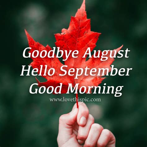 Red Maple Leaf Goodbye August Hello September Good Morning Pictures