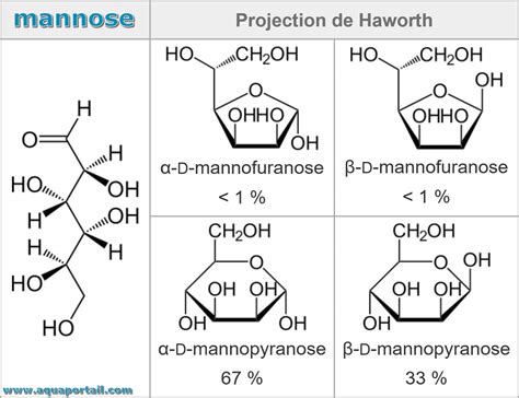 Mannose Définition Et Explications