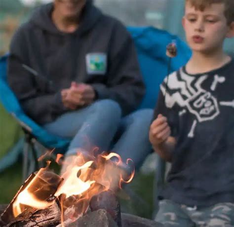 Campsites With Campfires In The New Forest The Top Sites