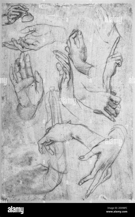 Leonardo Da Vinci Hands Hi Res Stock Photography And Images Alamy