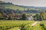Denbies Wine Estate, England’s Largest Vineyard In the Heart of the ...