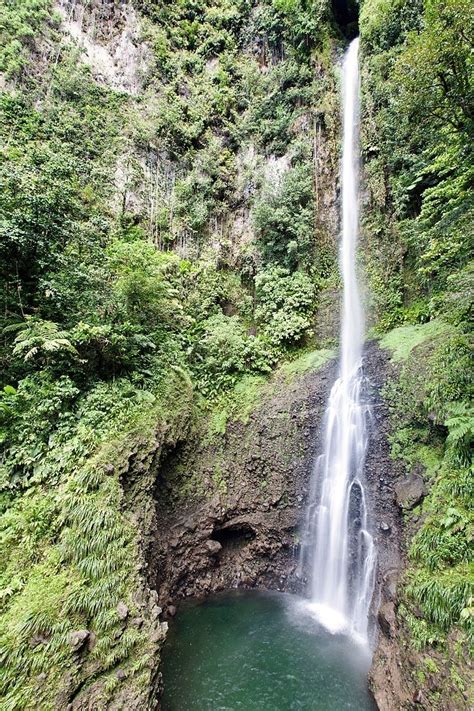 อุทยานแห่งชาติ Morne Trois Pitons ใน โดมินิกา เอ็กซ์พีเดีย