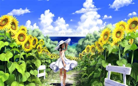 Anime Sunflower Hd Wallpapers Wallpaper Cave