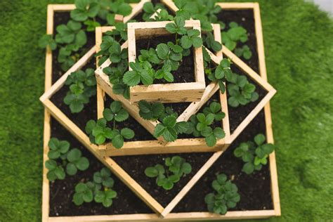 Check spelling or type a new query. How To Build A Strawberry Planter | DIY Strawberry Planter ...