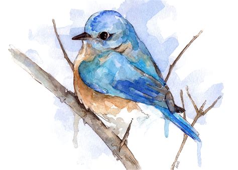 Bluebird Painting Print From Original Watercolor Painting