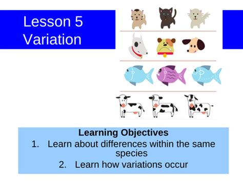 Ks3 Variations Within Species Teaching Resources
