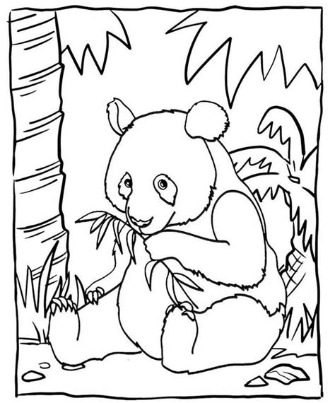 Cute Baby Panda Eating Bamboo Coloring Sheet Mitraland Riset