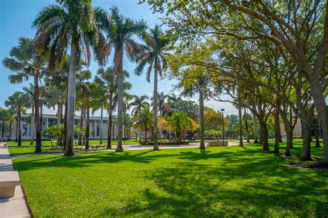 Admission To Florida Atlantic University • Verto Education