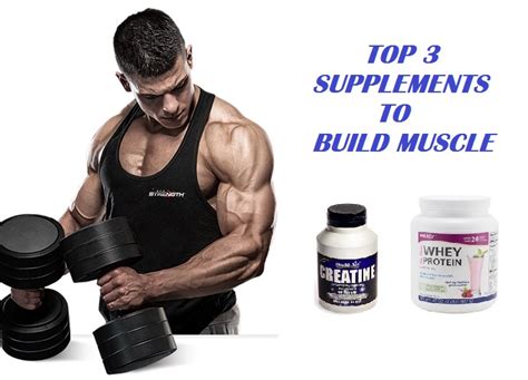 Muscle Palace The 3 Best Muscle Building Supplements The Only Supplements You Need To Build