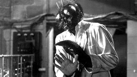 The Fly 1958 Spoilers Horror Amino