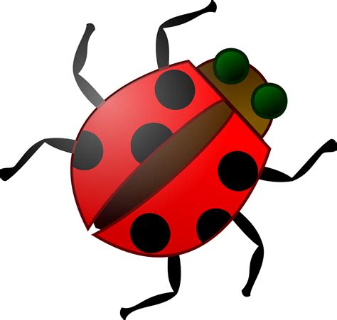 Insect Bug Red · Free Vector Graphic On Pixabay