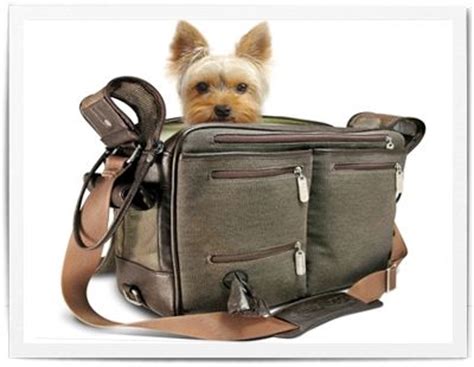 A great dog backpack offers many advantages. 17 Best images about Pet Carriers and Designer Dog Bags on ...