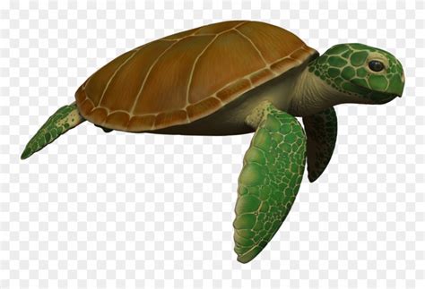 Animated Sea Turtle Wallpaper Iphone Wallpapersafari Sea Turtle